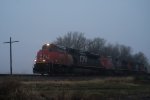 CN 8001, 2653